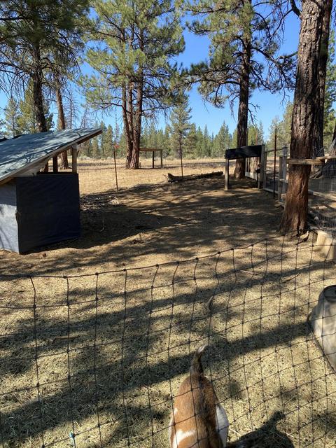 21619 Thunderbird Ln, Chiloquin, OR 97624 photo 12