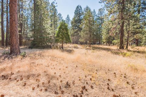 69325 Hackamore, Sisters, OR 97759 photo 15