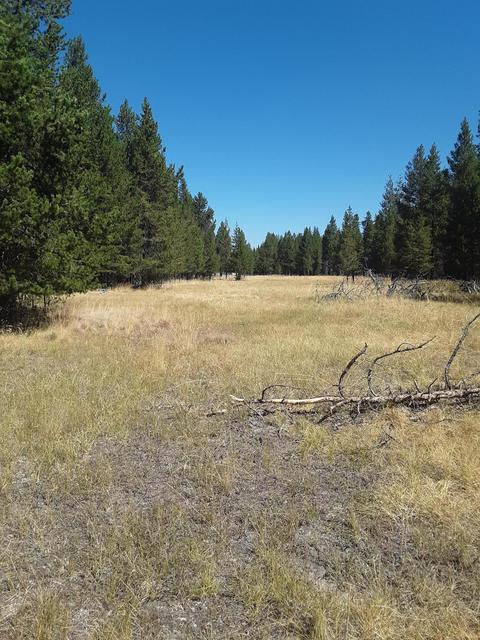 149447 Jerry Rd, La Pine, OR 97739