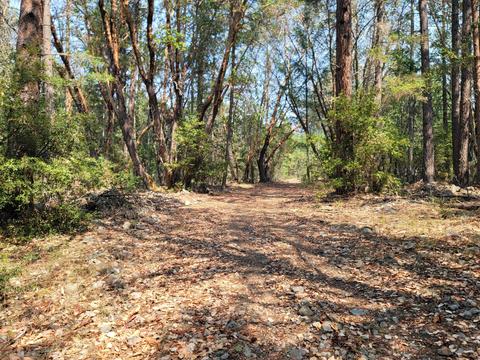 Thompson Cr Road, Applegate, OR 97530