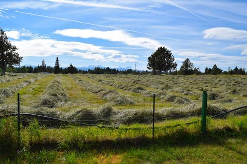61365 Ward Rd, Bend, OR 97702 photo 62