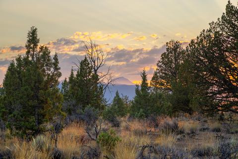 20005 Pacific Heights Rd, Bend, OR 97703 photo 16