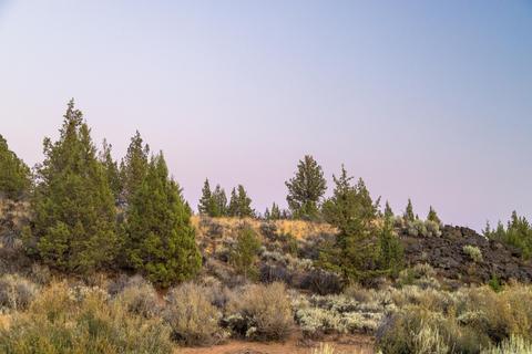 20005 Pacific Heights Rd, Bend, OR 97703 photo 10