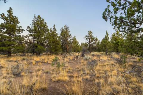 20005 Pacific Heights Rd, Bend, OR 97703 photo 9