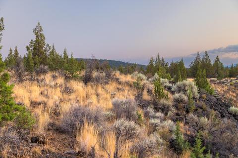 20005 Pacific Heights Rd, Bend, OR 97703 photo 11