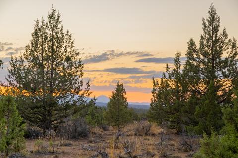 20005 Pacific Heights Rd, Bend, OR 97703 photo 15