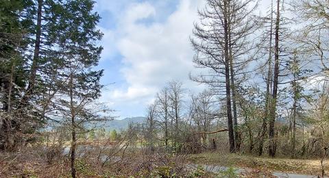 thompson creek road LOT 205, Selma, OR 97538