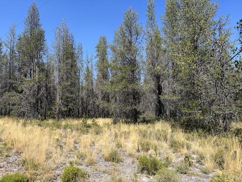 lot16 Vidae Ct, Chiloquin, OR 97624