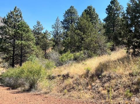 lot51 Peregrine Hts, Klamath Falls, OR 97601
