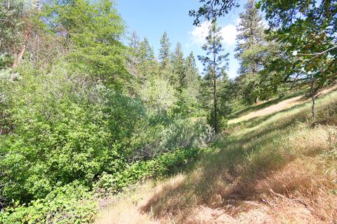 10792 Highway 238, Applegate, OR 97530 photo 22