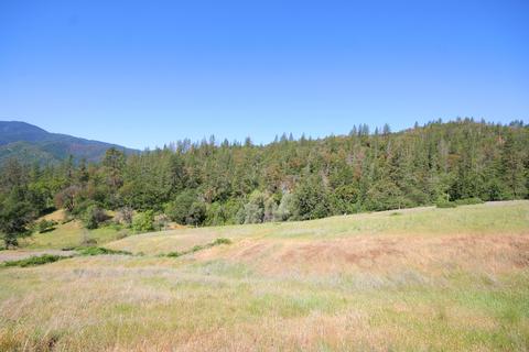 10792 Highway 238, Applegate, OR 97530 photo 13