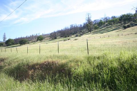 10792 Highway 238, Applegate, OR 97530 photo 10