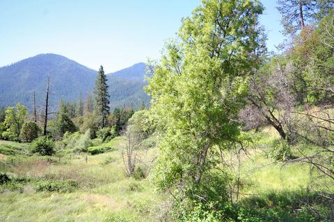 10792 Highway 238, Applegate, OR 97530 photo 21