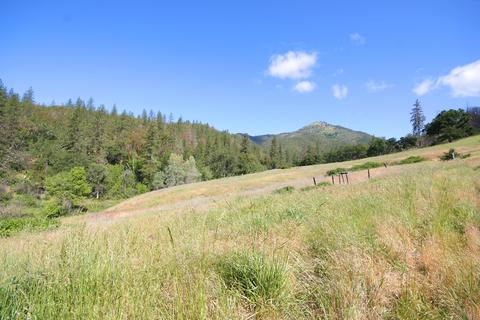 10792 Highway 238, Applegate, OR 97530 photo 14