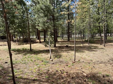 50880 Doe Loop, La Pine, OR 97739 photo 5