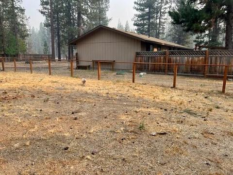50880 Doe Loop, La Pine, OR 97739 photo 6