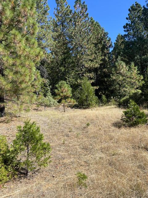 0 Fall Creek Rd, Grants Pass, OR 97526