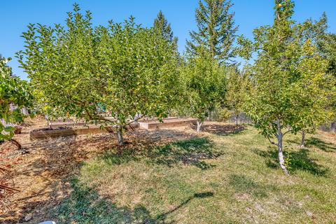 737 Busch Rd, Trail, OR 97541 photo 43