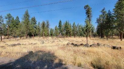 Lot 13 Jf Goeller Way, Keno, OR 97627