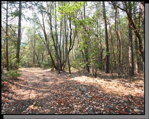 160 Hogan Rd, Applegate, OR 97530 photo 3
