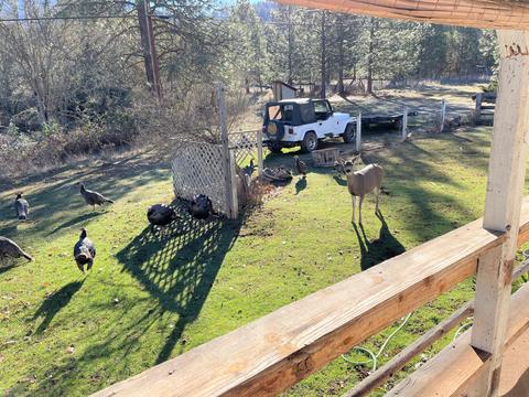 160 Hogan Rd, Applegate, OR 97530 photo 2