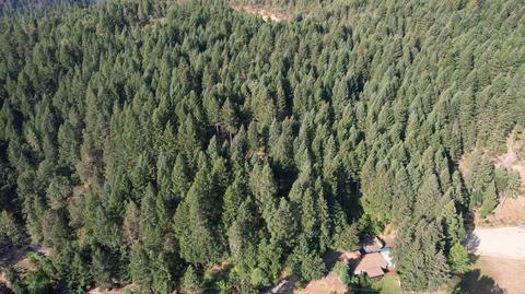 321 Taylor Rd, Trail, OR 97541 photo 3