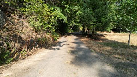 321 Taylor Rd, Trail, OR 97541 photo 56