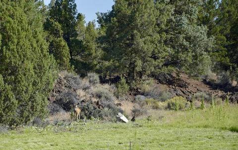 20575 Lowe Ln, Bend, OR 97703 photo 30