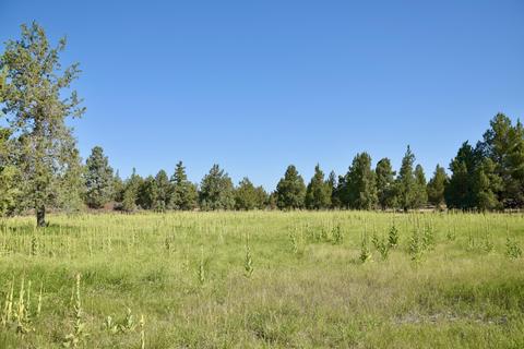20575 Lowe Ln, Bend, OR 97703 photo 33