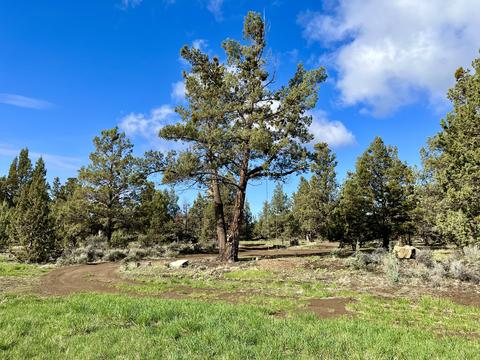 20575 Lowe Ln, Bend, OR 97703 photo 58