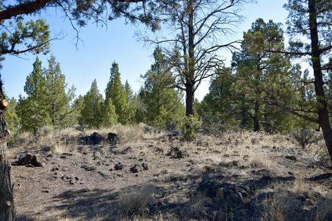 20575 Lowe Ln, Bend, OR 97703 photo 23