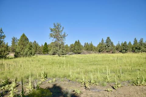 20575 Lowe Ln, Bend, OR 97703 photo 34