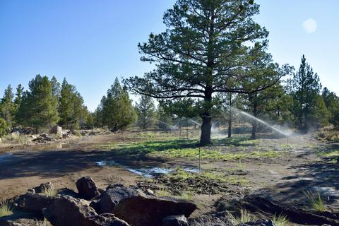 20575 Lowe Ln, Bend, OR 97703 photo 19