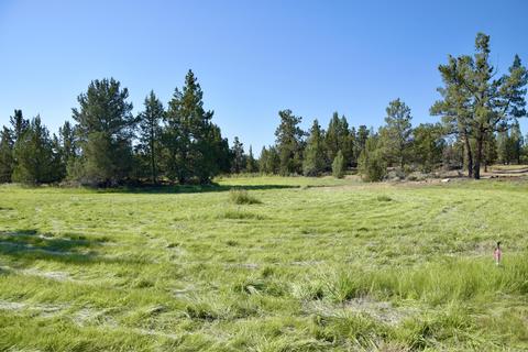 20575 Lowe Ln, Bend, OR 97703 photo 3