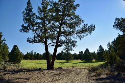 20575 Lowe Ln, Bend, OR 97703 photo 20