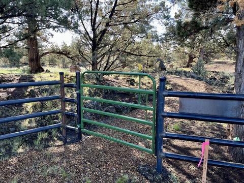 20575 Lowe Ln, Bend, OR 97703 photo 6