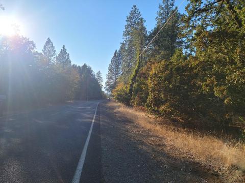 109 Garner Rd, Cave Junction, OR 97523 photo 3