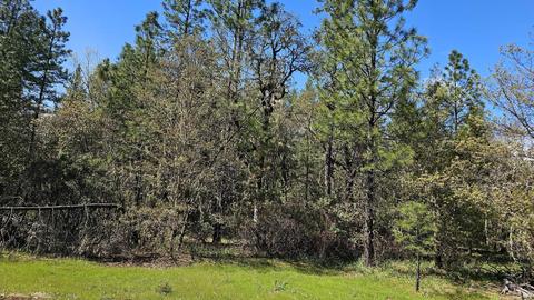 109 Garner Rd, Cave Junction, OR 97523