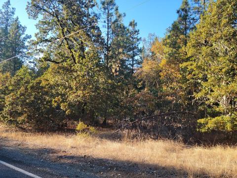 109 Garner Rd, Cave Junction, OR 97523 photo 2