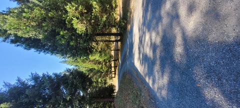 744 Crooks Creek Rd, Selma, OR 97538