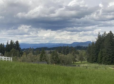Tbd Lazy E Way, Creswell, OR 97426