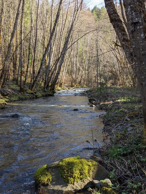 2633 Cedar Flat Rd, Williams, OR 97544 photo 4