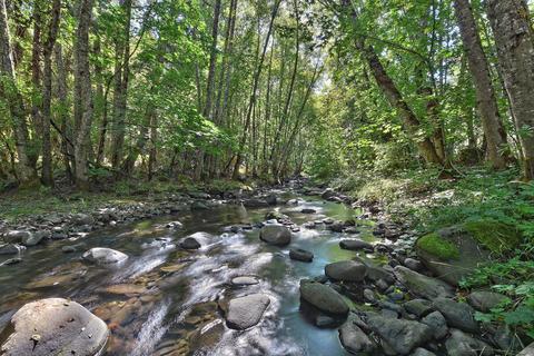 2633 Cedar Flat Rd, Williams, OR 97544 photo 7