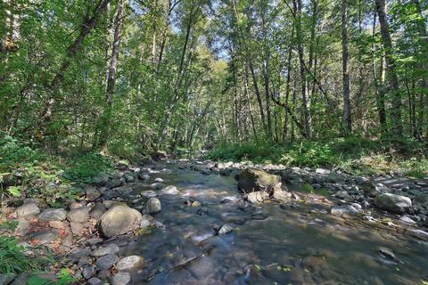 2633 Cedar Flat Rd, Williams, OR 97544 photo 5