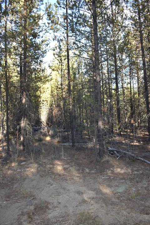 52180 Lechner Ln, La Pine, OR 97739 photo 11