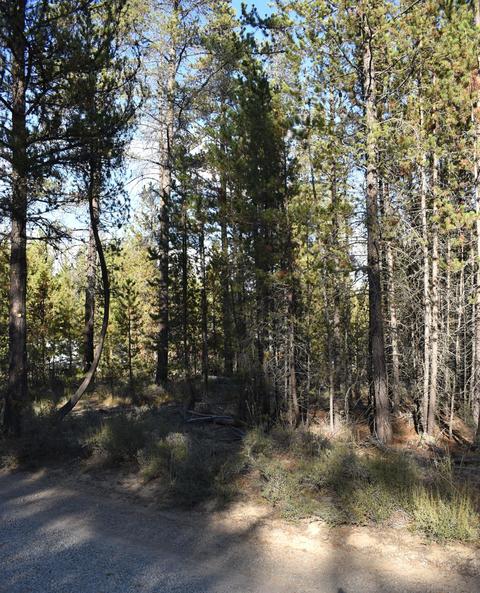 52180 Lechner Ln, La Pine, OR 97739 photo 3