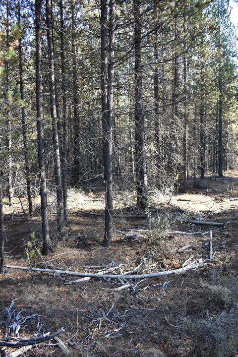 52180 Lechner Ln, La Pine, OR 97739 photo 10