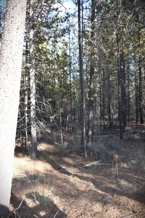 52180 Lechner Ln, La Pine, OR 97739 photo 7