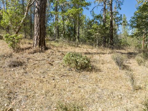 177 Stone Dr, Williams, OR 97544 photo 8