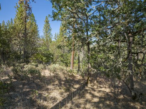 177 Stone Dr, Williams, OR 97544 photo 9